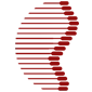 Endoscopia da coluna